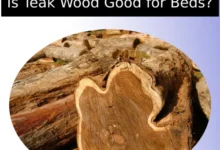 Is Teak Wood Good for Beds?
