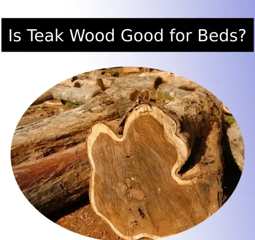 Is Teak Wood Good for Beds?