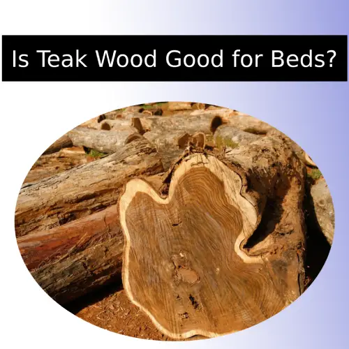 Is Teak Wood Good for Beds?