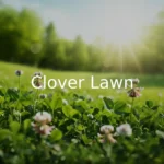 Clover Lawn