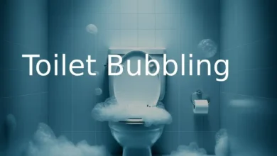 Toilet Bubbling