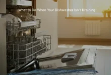 What to Do When Your Dishwasher Isn’t Draining