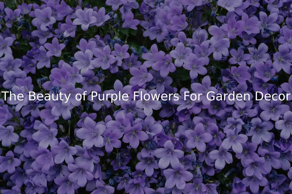 The Beauty of Purple Flowers For Garden Decor