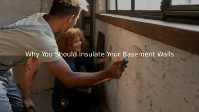 Why You Should Insulate Your Basement Walls