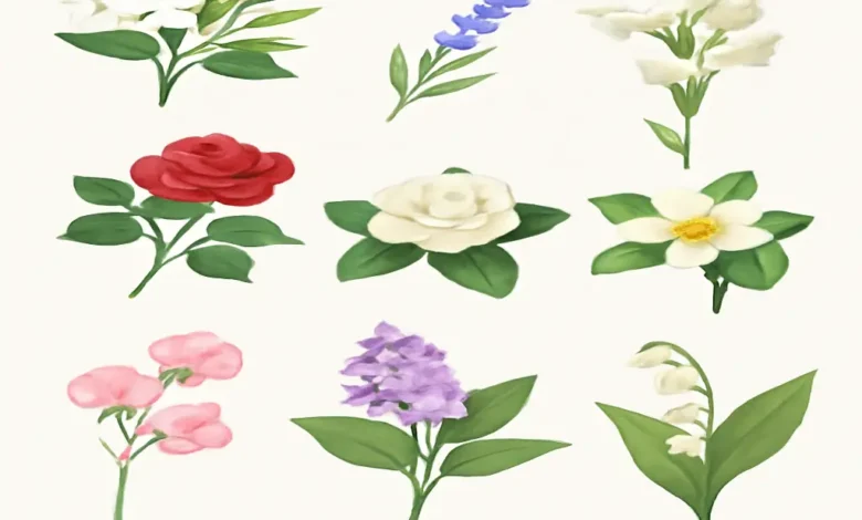 Most Fragrant Flowers