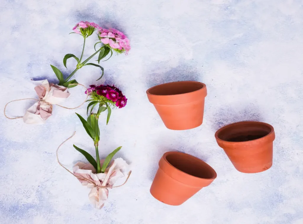 Ceramic Flower Pots