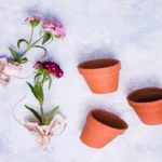 Ceramic Flower Pots