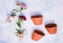 Ceramic Flower Pots