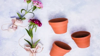 Ceramic Flower Pots