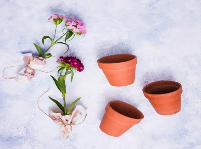 Ceramic Flower Pots