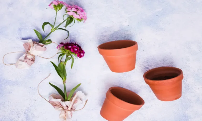 Ceramic Flower Pots