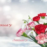 January birth flowers