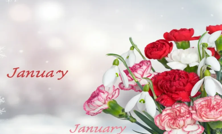 January birth flowers
