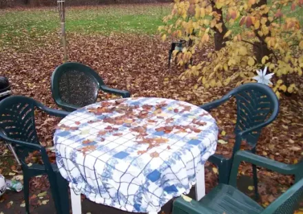 Renting Equipment for Outdoor Kitchen and Backyard Projects