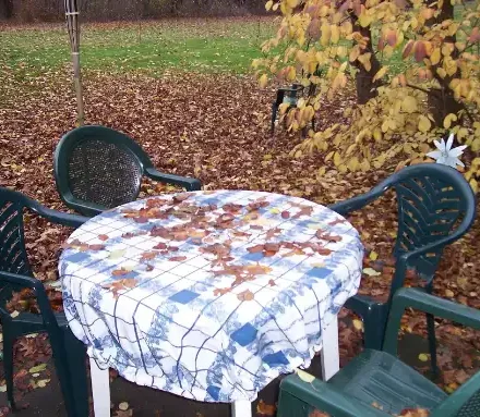 Renting Equipment for Outdoor Kitchen and Backyard Projects