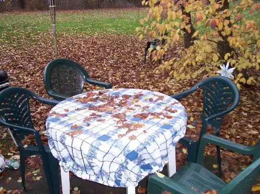 Renting Equipment for Outdoor Kitchen and Backyard Projects